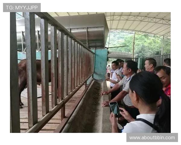 bbin宝盈app如何保障用户资金安全，详细讲解安全措施与隐私保护策略